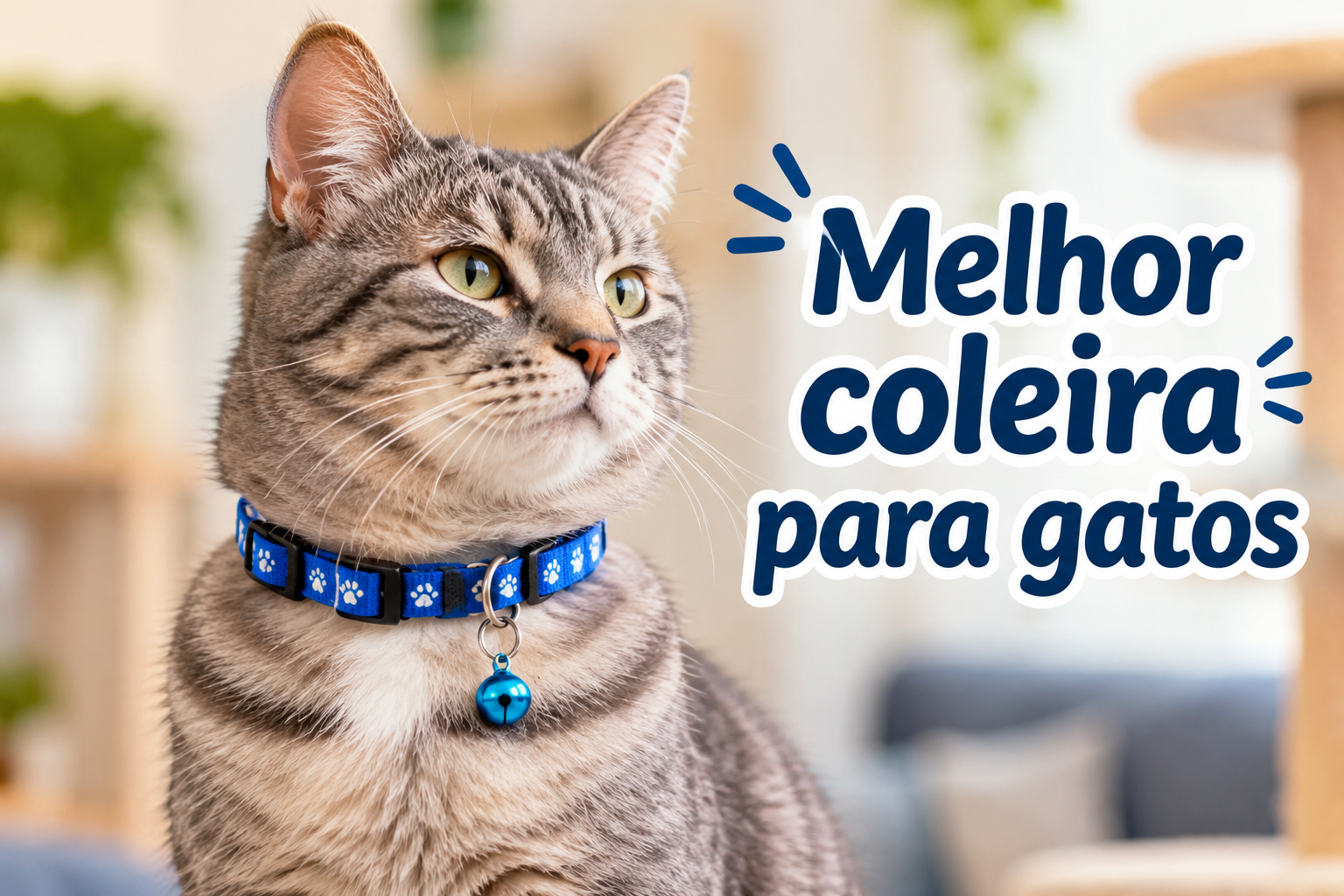 Melhor coleira para gatos