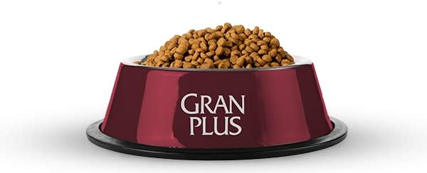 Ração para Gatos GranPlus Choice